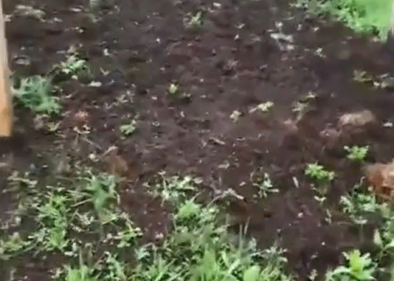 � ������� ���������� ���������� �������� ��������