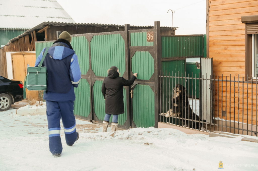 Улан-удэнцы стали чаще регистрировать и вакцинировать домашних питомцев Улан-удэнцы стали чаще регистрировать и вакцинировать домашних питомцев