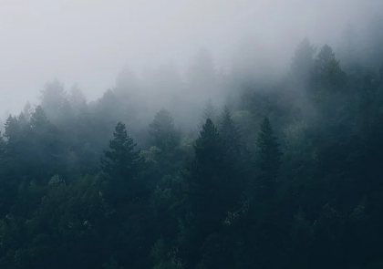 � ������� � ���� ����� ���� �������
