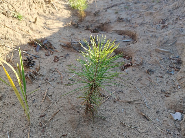 �� ������� ��������� �������