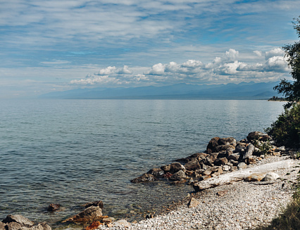 � ������� ���������� ��������� ����� �� �������� �������