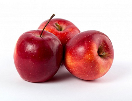 ������ ������ ����� ��� �������� ������