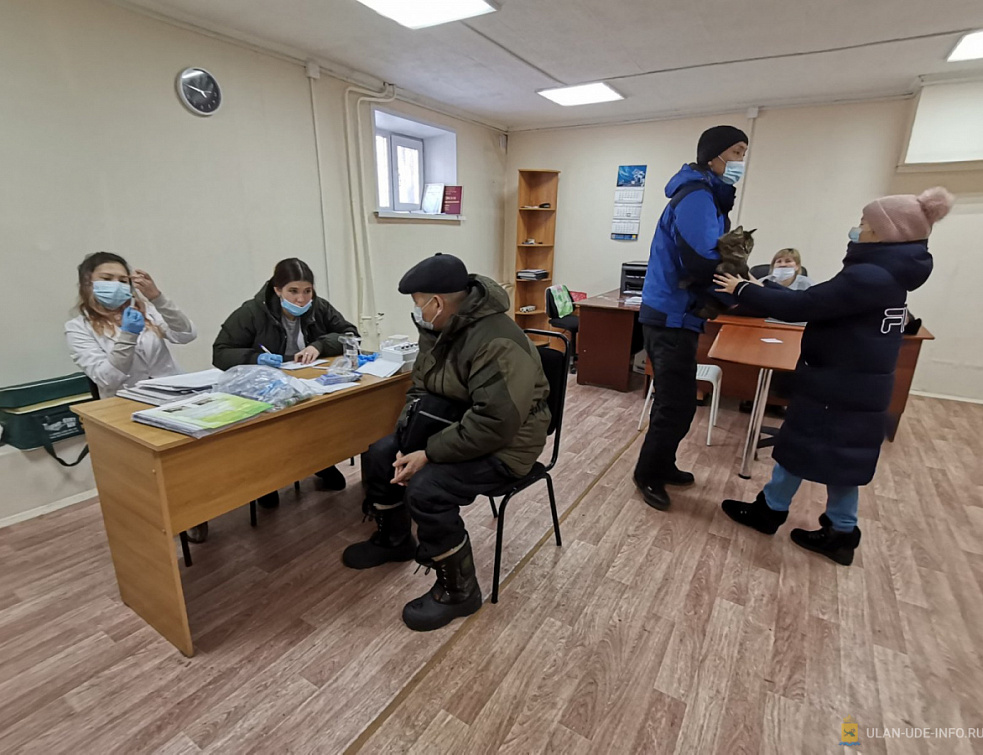 Где зарегистрировать и вакцинировать домашних питомцев? Где зарегистрировать и вакцинировать домашних питомцев?