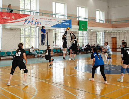      IV    
