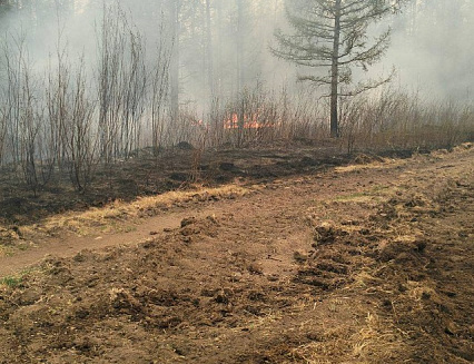 ��������������� ������������ ��� ���������: �� ������� � ����������� ����� ������� ��������� ��������������