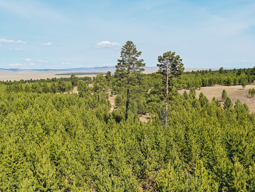 � ������� ������ ������ ��������������� �����