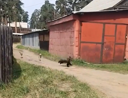���������� ������� � �������� ������� � �������: ����� ��������� �����