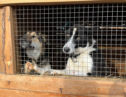 � ������� ����������� �������� � ����� ����� �������� ����������