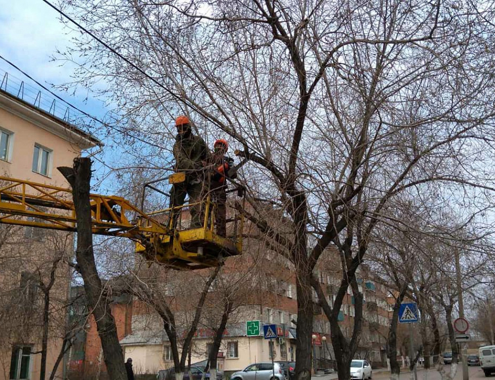В Улан-Удэ хотят ввести общие стандарты подрезки деревьев В Улан-Удэ хотят ввести общие стандарты подрезки деревьев
