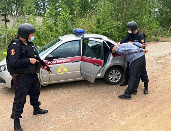 ������ ������ ������ ����� � �������� � �������� ���������