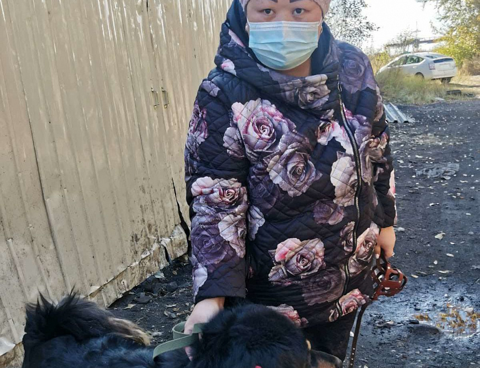 Сколько бездомных собак в Улан-Удэ обретают новый дом? Сколько бездомных собак в Улан-Удэ обретают новый дом?