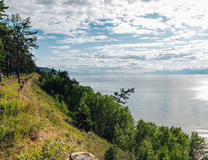 ������������� ������ ��������������� ������� ����������������� ���������� ���� ����� ������